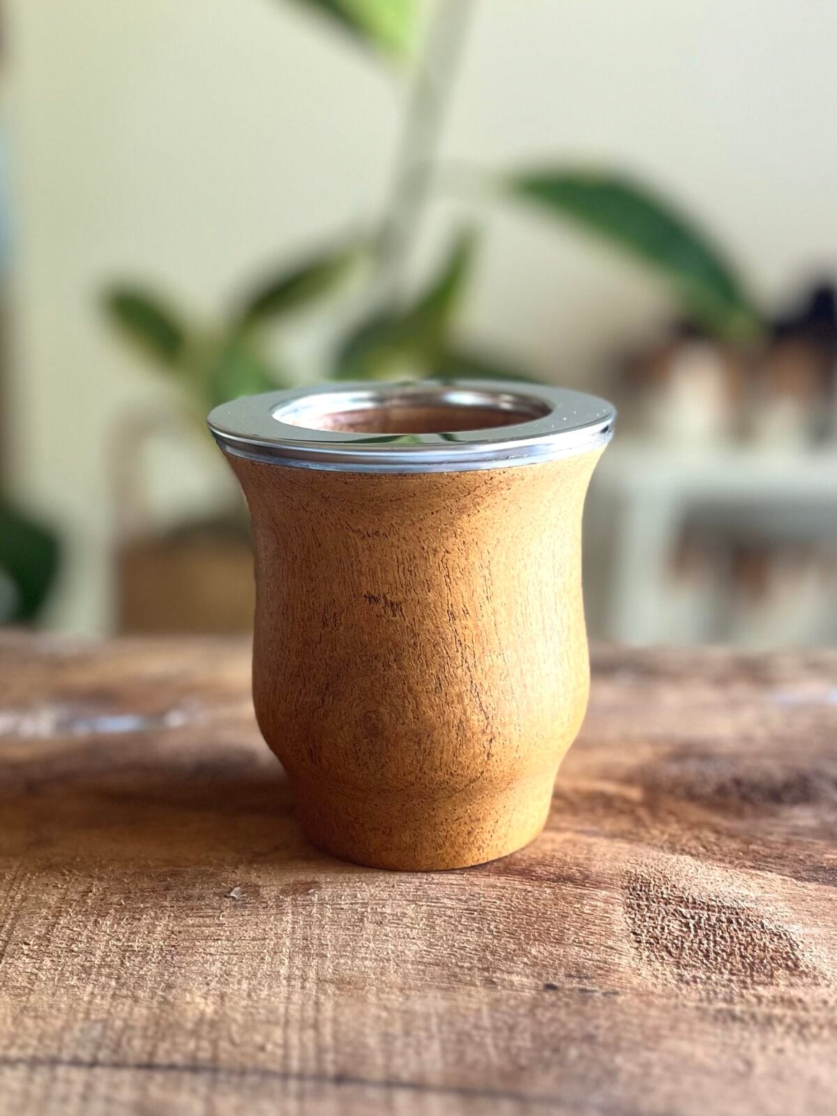 Camionero de algarrobo