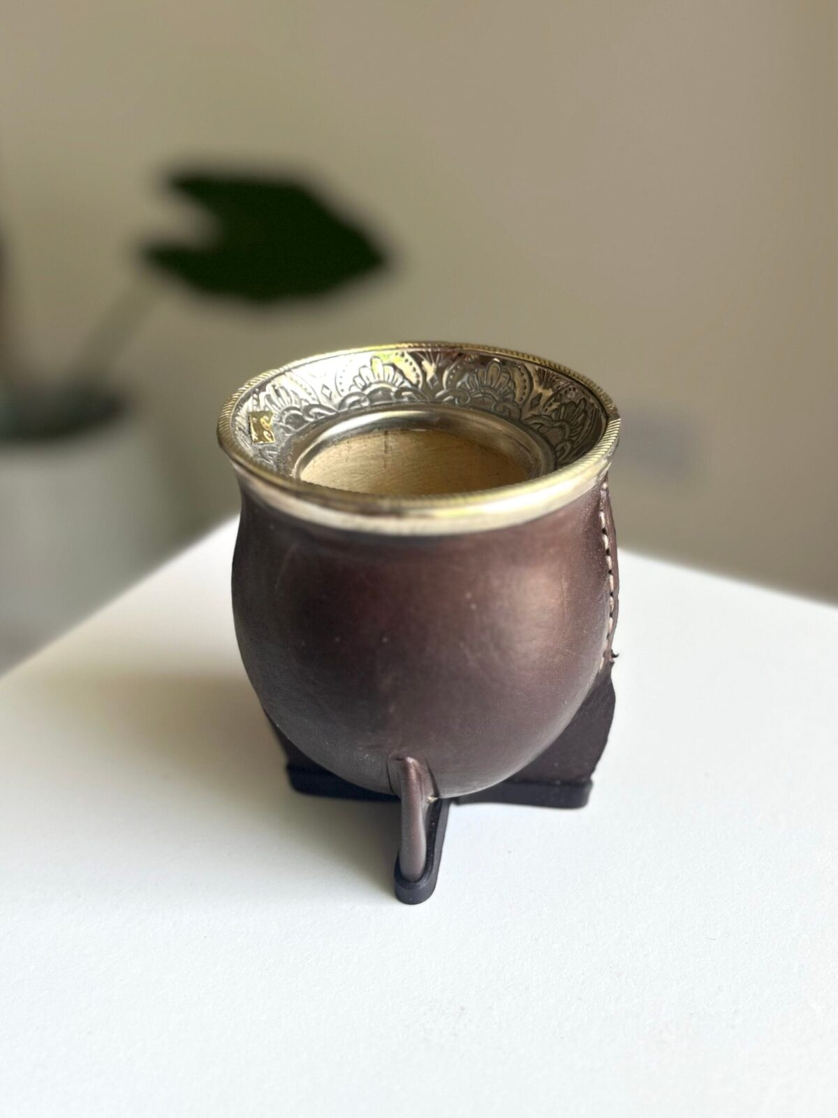 Camionero Virola invertida.