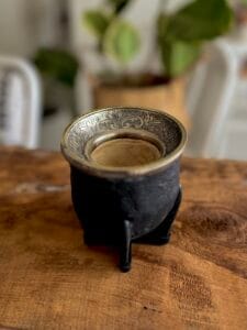 Camionero Virola invertida.