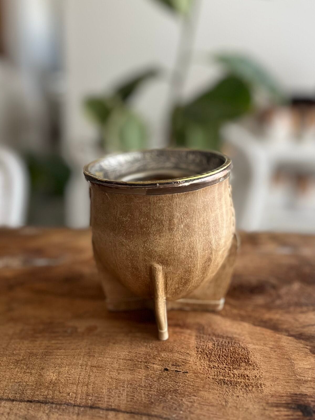 Camionero Virola invertida